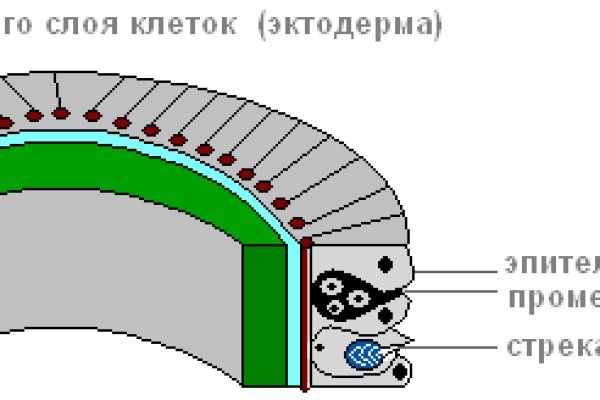 Кракен даркнет площадка ссылка