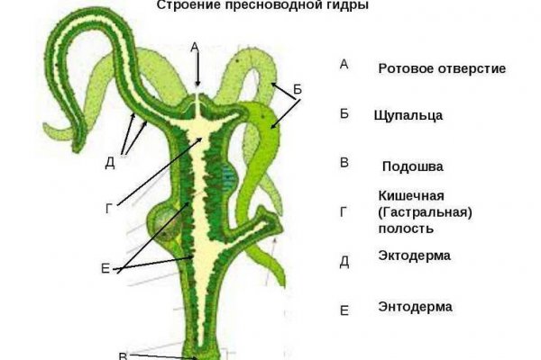 Кракен зеркало