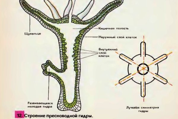 Kraken 14 at сайт